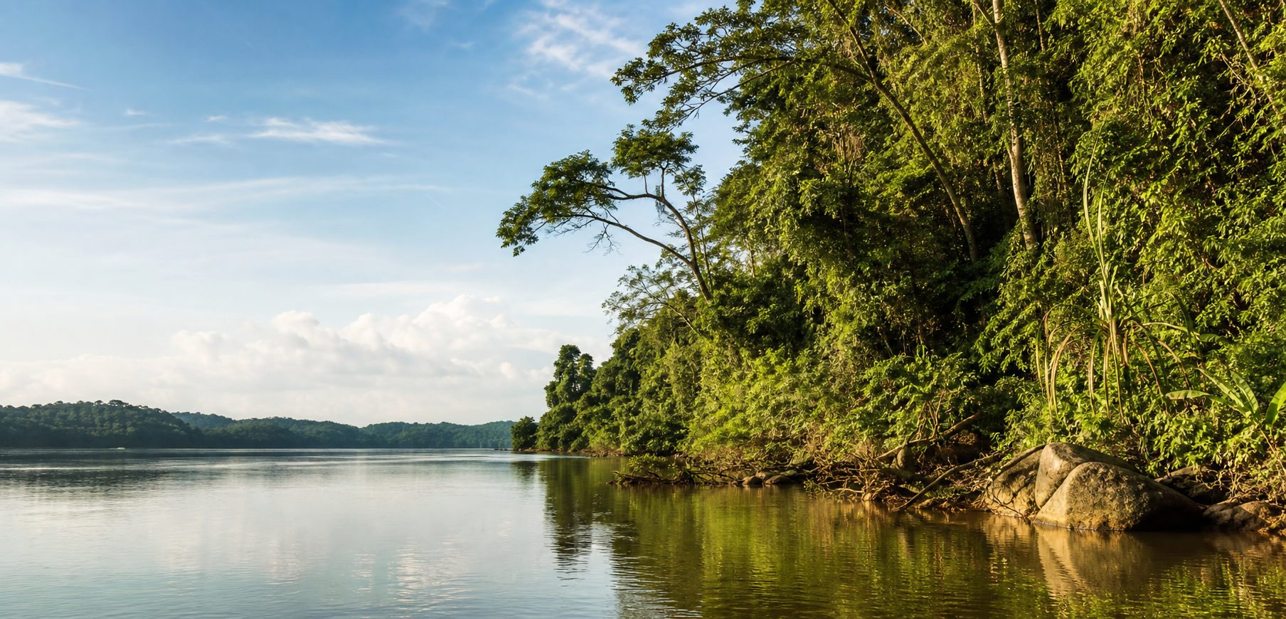 Paysage de Guyane avec forêt amazonienne et fleuve